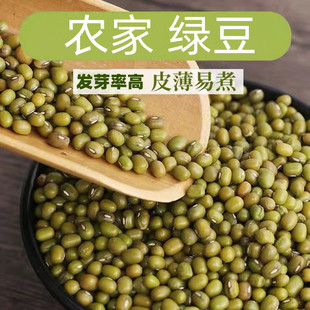 东北新绿豆100g 5斤颗粒饱满煲汤绿豆沙甜品发豆芽绿豆子容易出沙