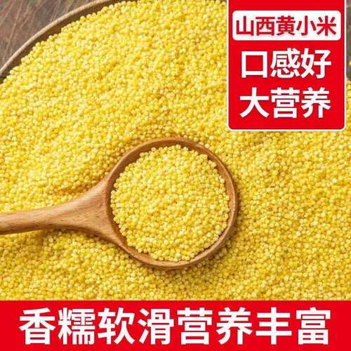 山西黄小米500g新鲜饭宝宝米小黄
