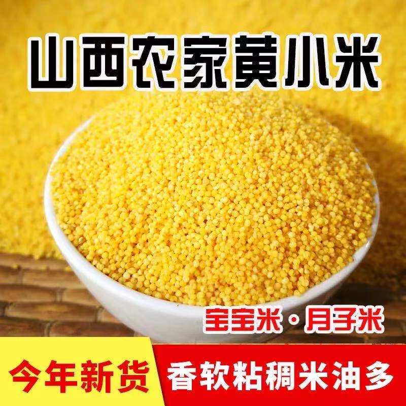 农家今年新黄小米新米月子米五谷杂粮小米粥粗粮小黄米山西小米