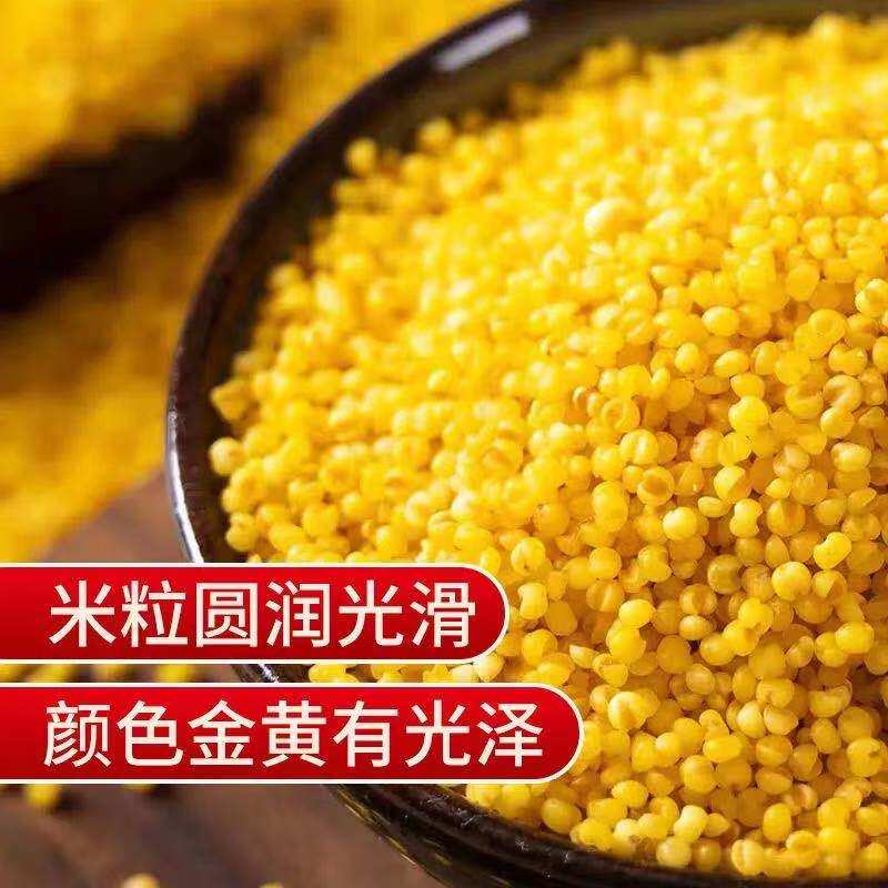 山西黄小米新米东北农家小米五谷杂粮宝宝米月子米熬粥250克