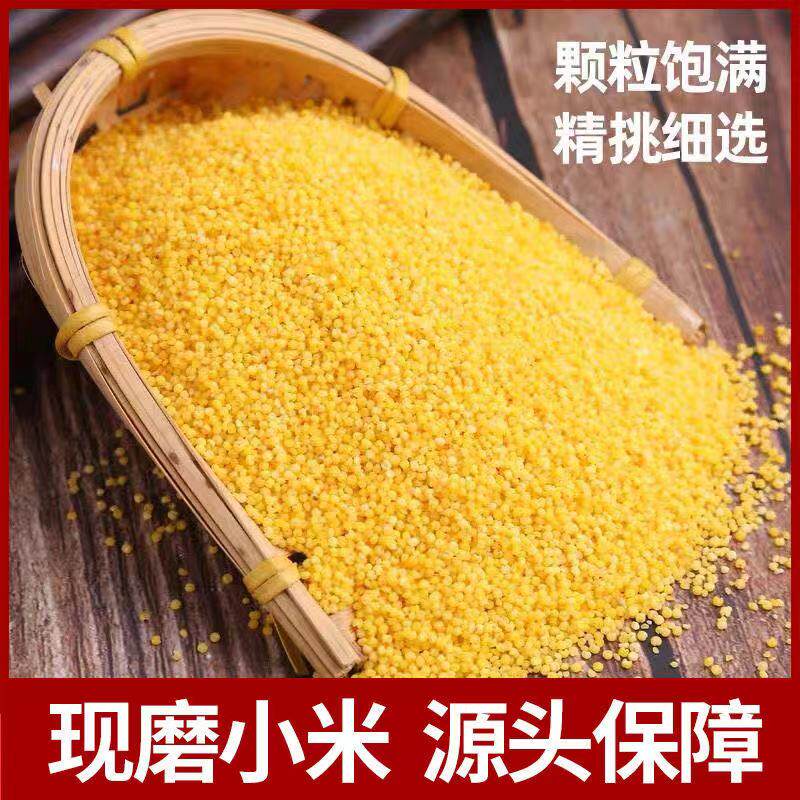 山西黄小米新米东北农家小米五谷杂粮宝宝米月子米熬粥250克