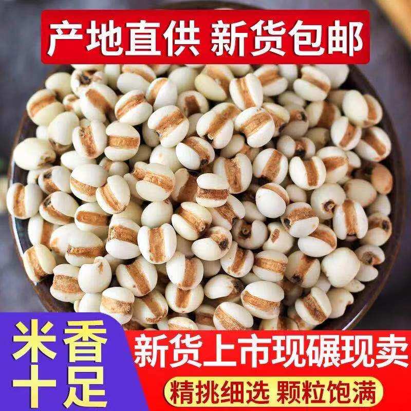 正宗今年新货薏仁米贵州薏米仁农家薏米五谷杂粮粗粮粮油