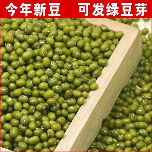 东北新绿豆新货颗粒饱满煲汤绿豆沙甜品发豆芽绿豆子容易出沙绿豆