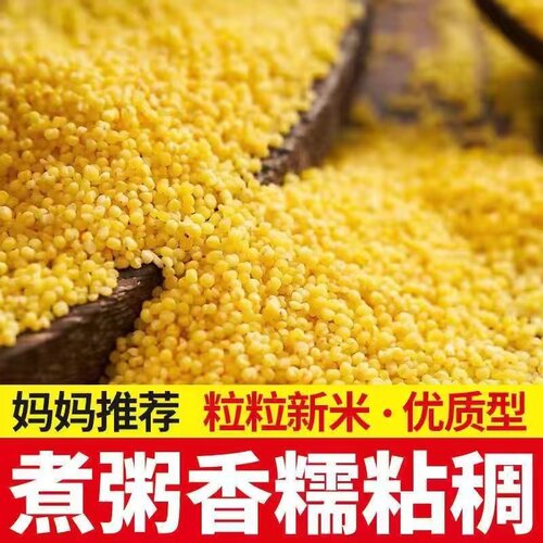 山西黄小米新米东北农家小米五谷杂粮宝宝米月子米熬粥100克-5斤
