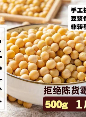 东北笨黄豆250g-2500g新鲜大豆非转基因黄豆大豆子豆浆原料营养早