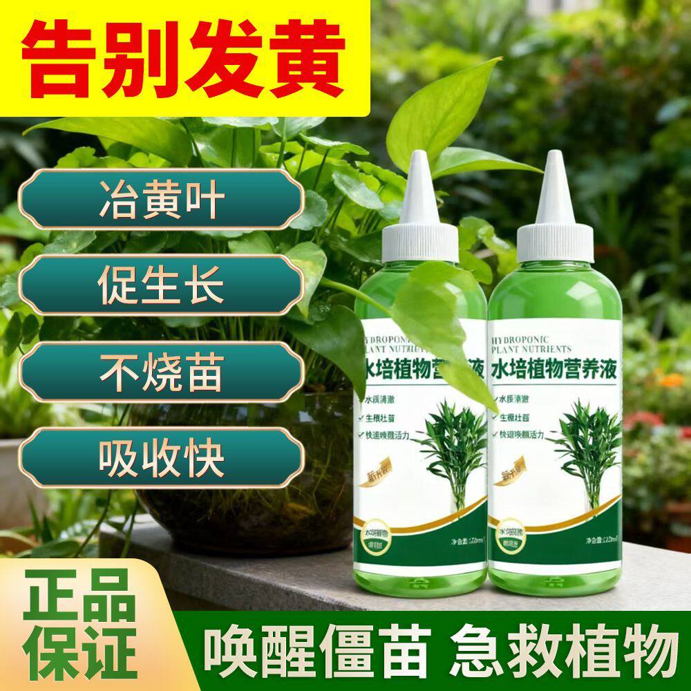 水培植物专用营养液富贵竹转运竹巴西木郁金香绿萝铜钱草通用肥料