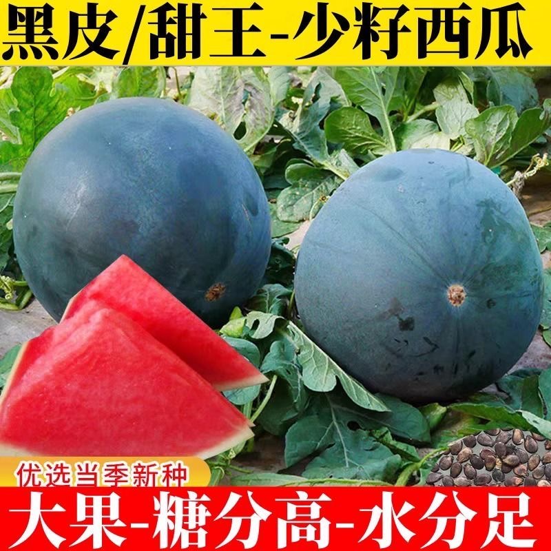 【新品促销】四季高产无籽少籽西瓜种籽早熟红瓤黑皮西瓜水果种子