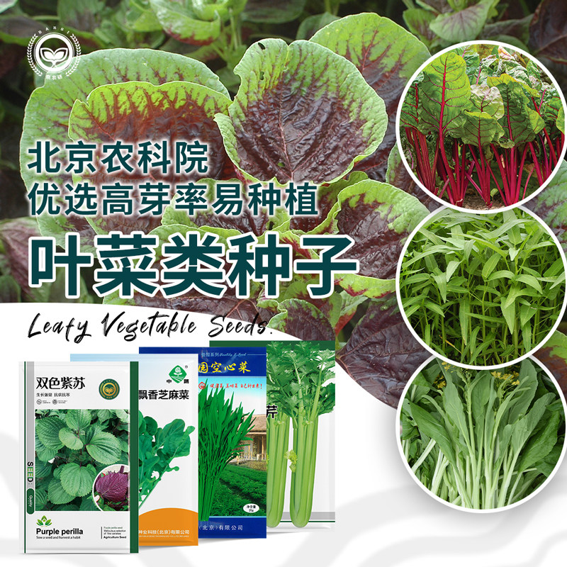 农科院蔬菜种子香菜韭菜小叶菜籽