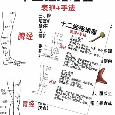 中医养生12经络堵塞疏通方法贴纸