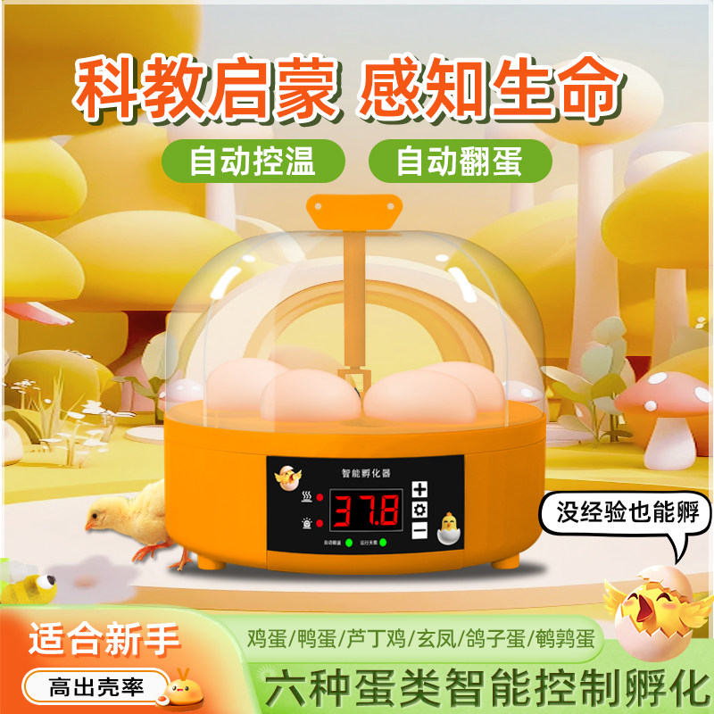 孵化器小型家用全自动智能儿童小鸡芦丁鸡鹦鹉孵蛋器种蛋孵蛋机