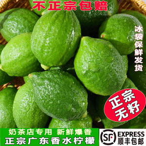 正宗广东香水柠檬奶茶店专用新鲜无籽爆香多汁青柠檬商用顺丰包邮