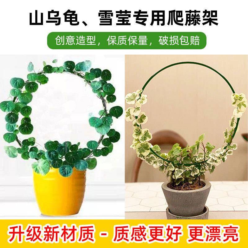 盆景花架爱心花架月季花大造型支架铁艺爬藤蓝雪花矮牵牛金属焊接