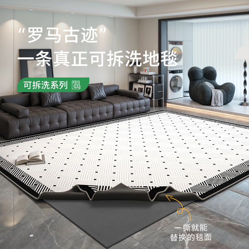 家用客厅现代简约风可机洗地毯