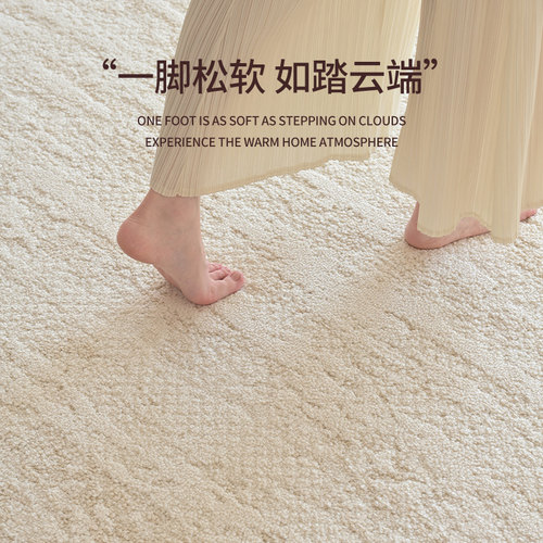地毯客厅2024新款硅藻丝防水防污免洗可擦免打理轻奢高级沙发地垫