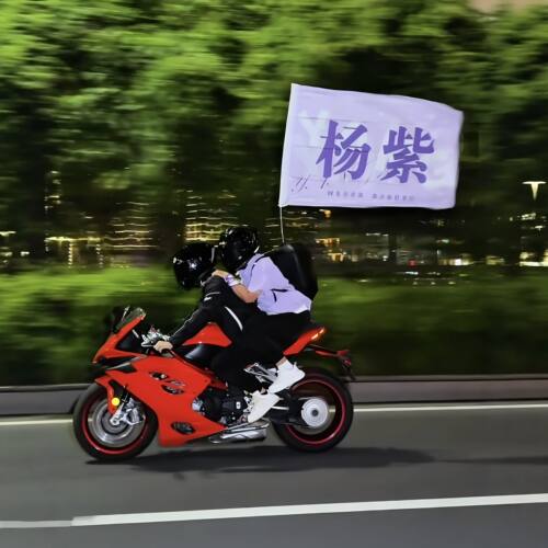 拍摄道具杨紫你的兵来了！大旗应