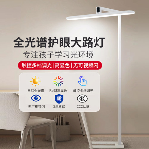 立式落地大路灯学生学习专用