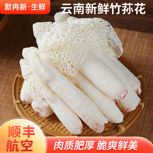 新鲜竹荪菌500g 云南竹笙金红托鲜竹荪竹笙鲜菌火锅蘑菇 现货