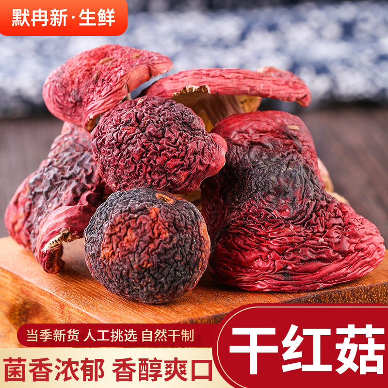 【现货】新鲜红菇500g云南当季鲜菌红菌菇野生红菇红椎菌蘑菇包邮