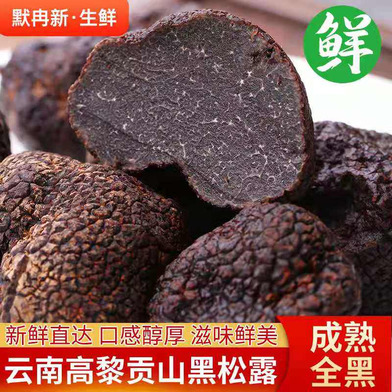 现货松露块菌猪拱菌野生菌包邮