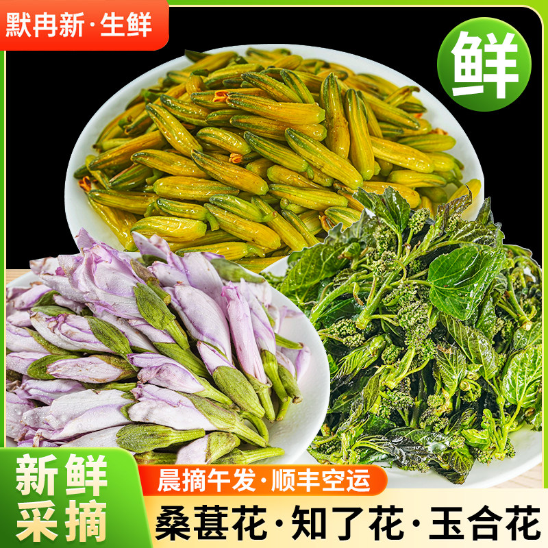 【现货】新鲜桑葚花1斤现摘云南当季野生食用花玉合花芦荟花野菜
