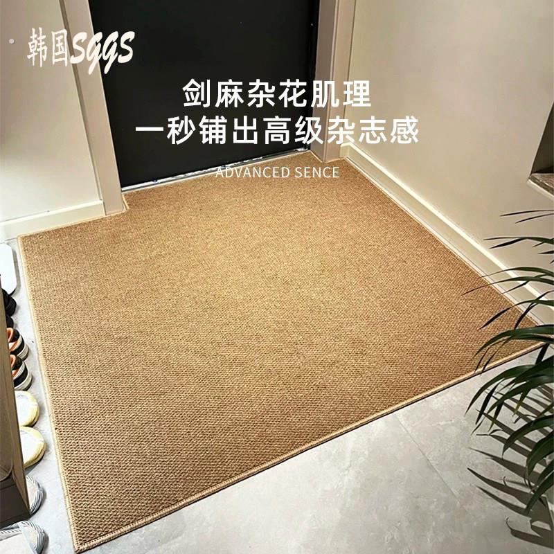 韩国入户门地垫仿剑麻玄关地毯进门大门口家用新款门垫脚垫可裁剪