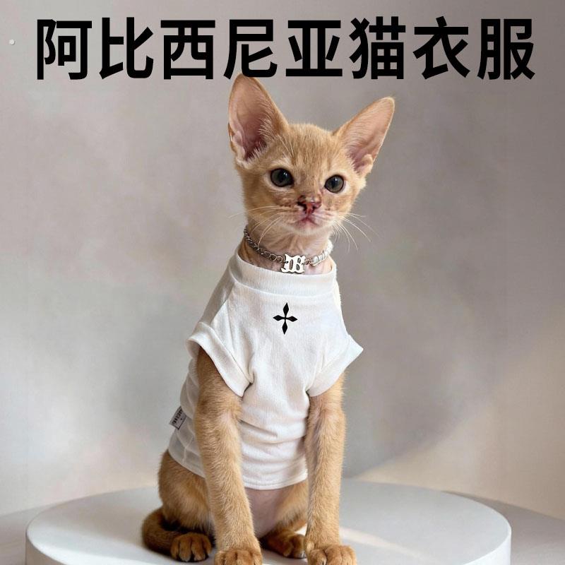 阿比西尼亚猫衣服夏季专用薄款透气空调服防掉毛可爱猫咪服饰用品