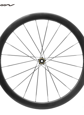 Avian飞鸟CR5 DB碟刹碳纤维公路自行车轮组45 55MM开口真空碳辐条