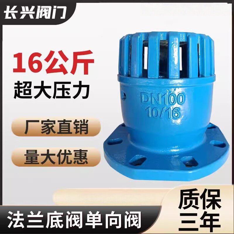 法兰铸铁水泵单向止回底阀抽水泵吸水新型底阀门DN40 50 65 80100图片