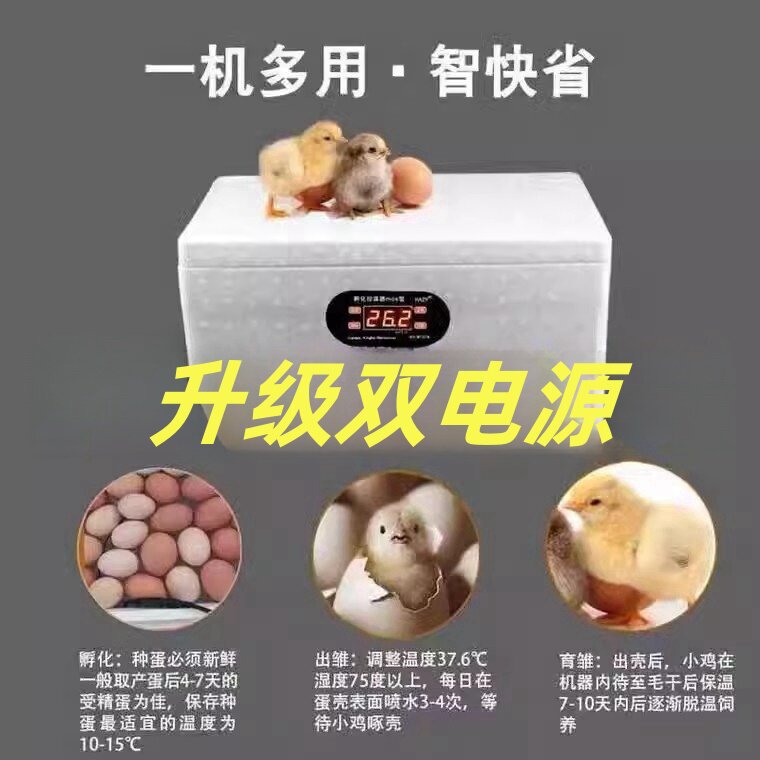 水床孵蛋器孵化机孵化器小型家用型自动智能芦丁鸡鸭鹅鹦鹉孵化箱图片
