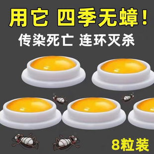 蟑螂药强效出租屋家用非一窝端厨房内蟑螂克星灭虫神器方便贴