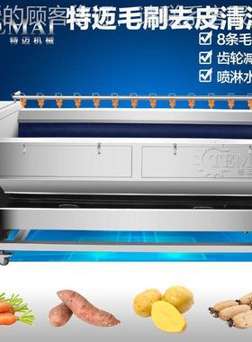 供应现货红头清M洗机 毛刷滚菜动式喷-淋清洗机 TFCB1500,毛刷去