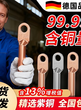 铜鼻子铜接头DT10/16/25/35/50/70-500平方接线端子堵油线耳鼻子