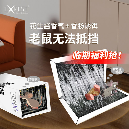 捕捉粘鼠板强劲粘胶EXPEST