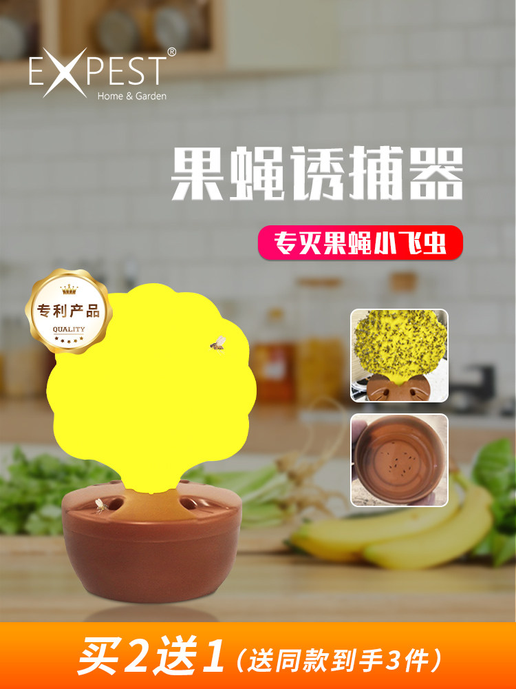 expest果蝇诱捕器小飞虫灭杀苍蝇贴粘蝇纸果蝇捕捉