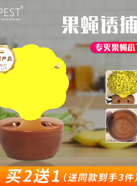 expest果蝇诱捕器小飞虫灭杀苍蝇贴粘蝇纸果蝇捕捉