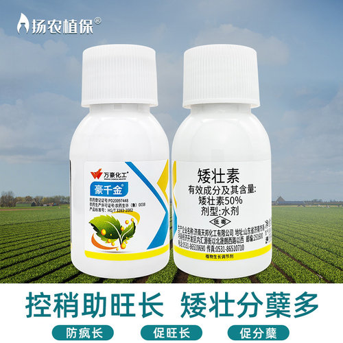 小麦矮壮素玉米植物生长调节剂