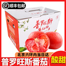 新鲜孕妇水果 包邮 普罗旺斯番茄沙瓤西红柿4.5斤礼盒 北京当日达