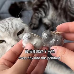 透明猫毛收纳挂件宠物毛发纪念钥匙扣收集器小猫咪扭蛋装挂饰英短