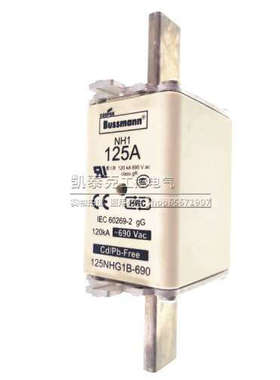 BUSSMANN熔断器 125NHG1B-690 NH1 125A 690V 陶瓷保险丝 120KA