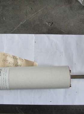 熔断器 FT 455604/011 1 PCS GEC ALSTHOM NEW