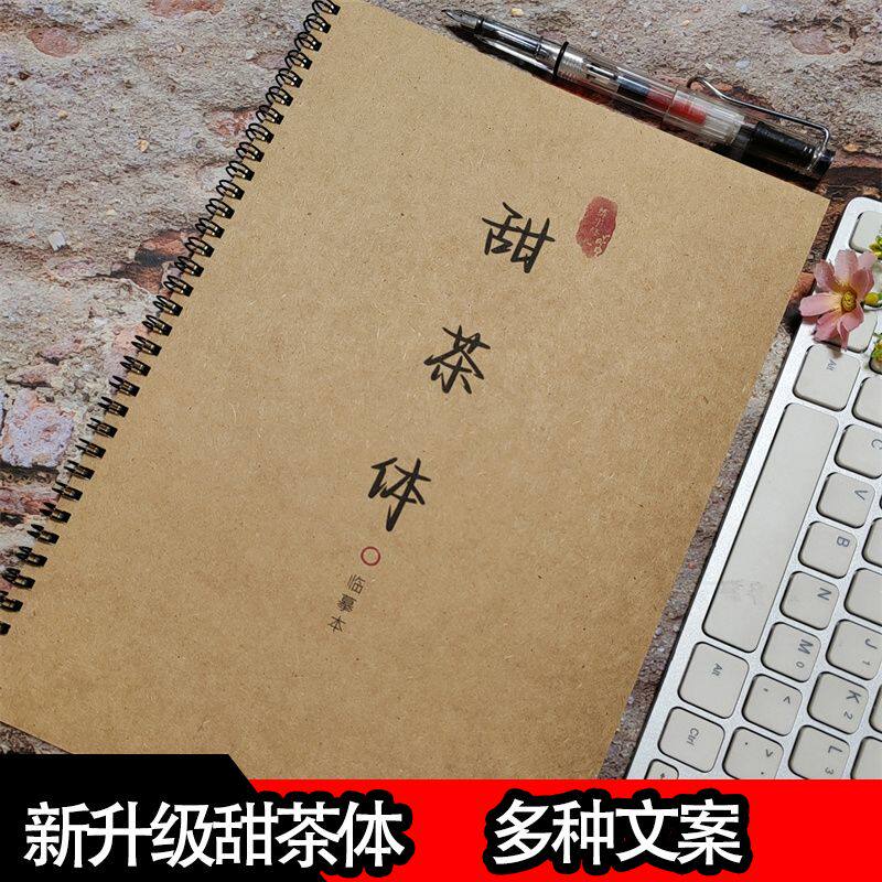网红励志朗读者钢笔临摹练字帖