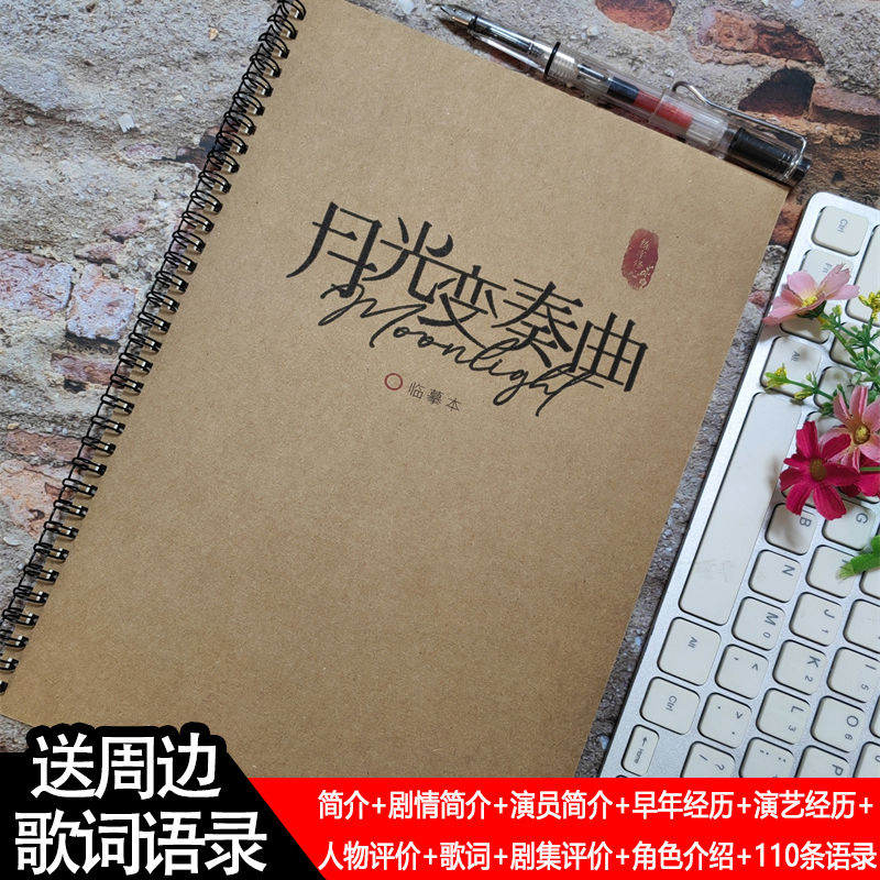 月光变奏曲语录钢笔字帖