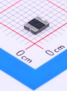 SL1210600 自恢复保险丝 6V 6A 1210自恢复 1210