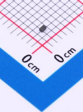 ESD5431N-2 ESD5431N-2 DFN1006 静电和浪涌保护(TVS/ESD)