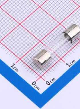 0034.3125 一次性保险丝 250V -