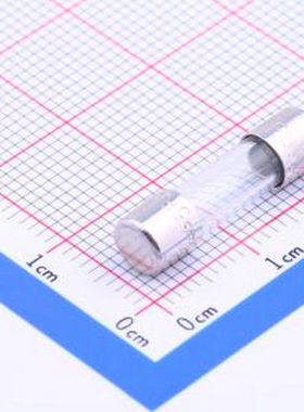 5F.1600210000R1 玻璃管保险丝 D5.2xL20mm 一次性保险丝