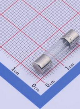 5T.2000210000R1 一次性保险丝 5T 2A 250V 慢断 D5.2xL20mm 一次