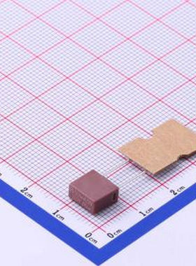 2009T630mA250V 一次性保险丝 方形塑封保险丝 慢断 编带 630mA25