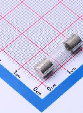 0217002.HXP 一次性保险丝 250V -