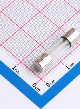 02391.25MXP 一次性保险丝 250V -